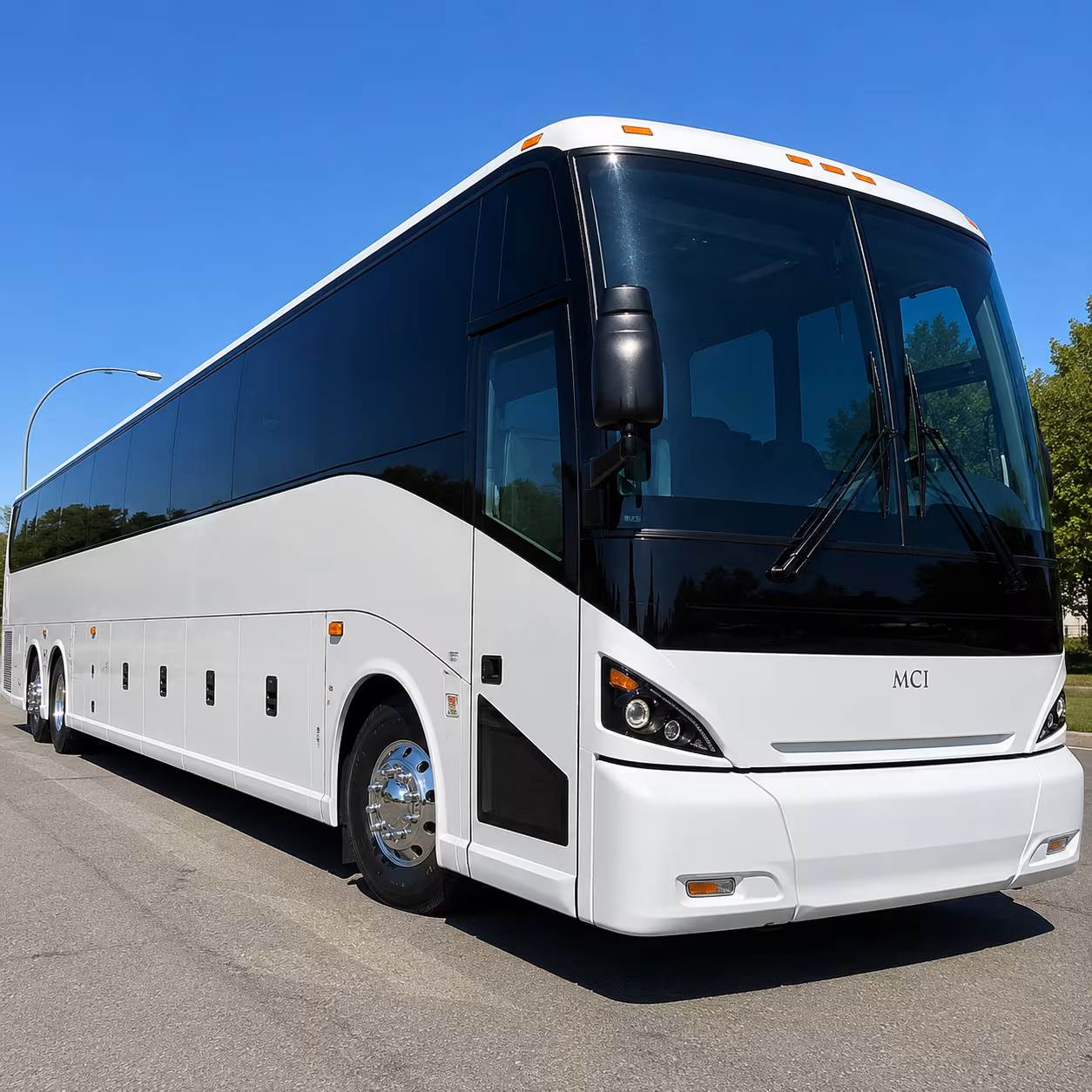 mount vernon charter bus
