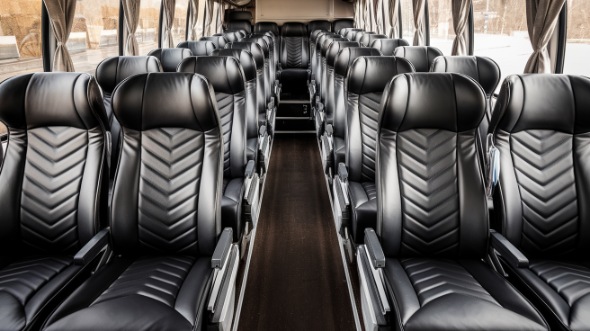 54 passenger charter bus rental elizabeth