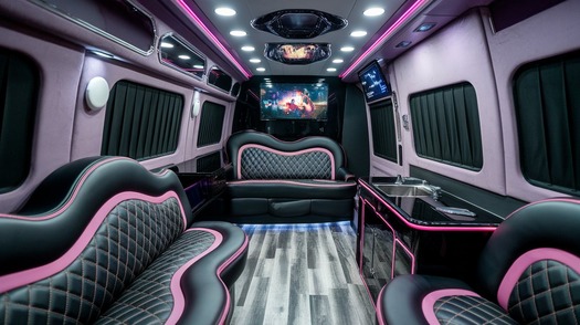 bronx party bus rental rental