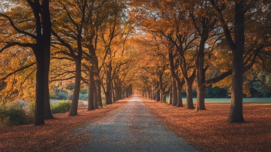 saxon woods park