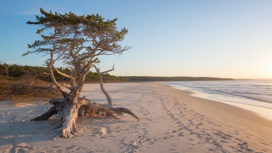 the sands point preserve